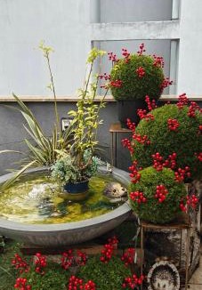 Edessa Apartment | Garden Sky