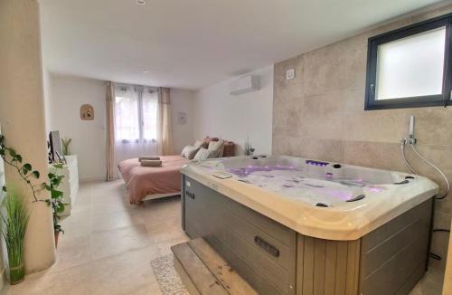 Bourges Apartment | Garden & Spa Camélia jacuzzi