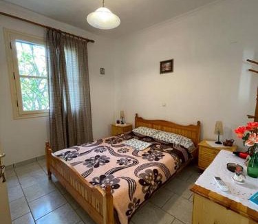 Paralia Agias Fotinis Apartment | Gardens