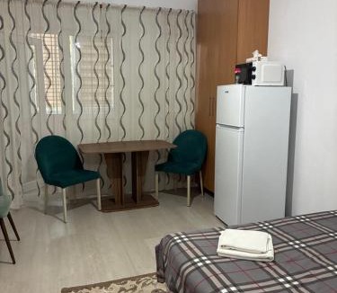 Bistrita Hotel | Garsoniera Alex