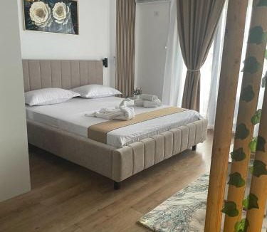 Saturn Apartment | Garsoniera Daria