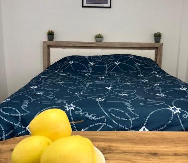 Arad Apartment | Garsoniera Goldis