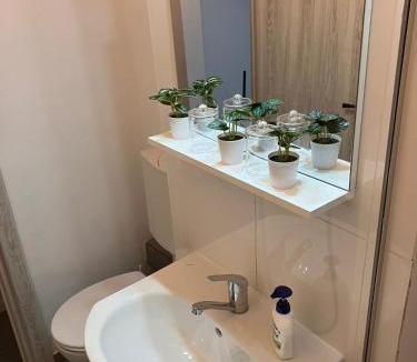 Arad Apartment | Garsoniera Goldis