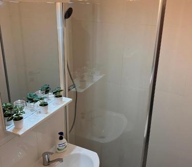 Arad Apartment | Garsoniera Goldis