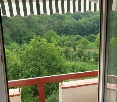 Onesti Apartment | Garsoniera Mihaela