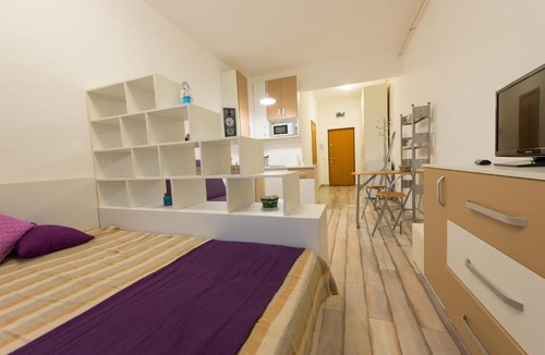 Satu Mare Apartment | Garsoniere Central