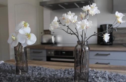 Satow Apartment | Gartenidyll