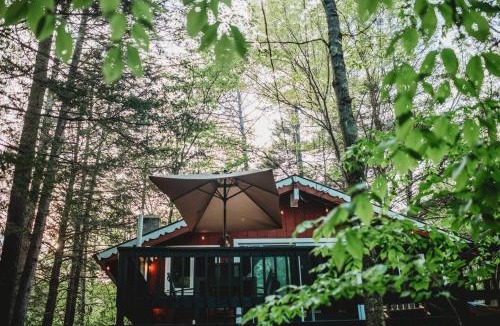 Bartlett Ski Chalet | Gas fireplace + stargazing deck 4 mins from skiing