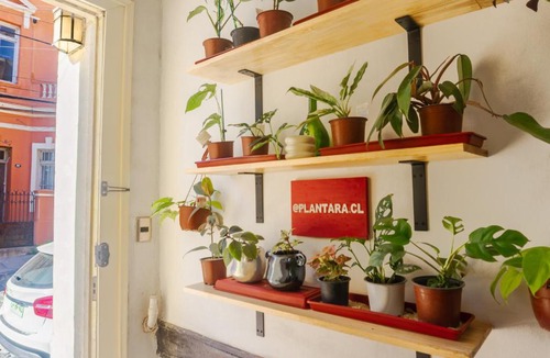 Cerro Alegre House | Gatalegre Hostel