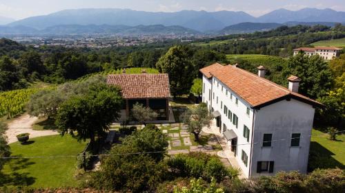 Susegana House | GATTO IN VIGNA