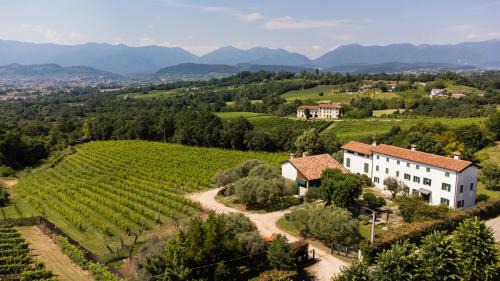Susegana House | GATTO IN VIGNA
