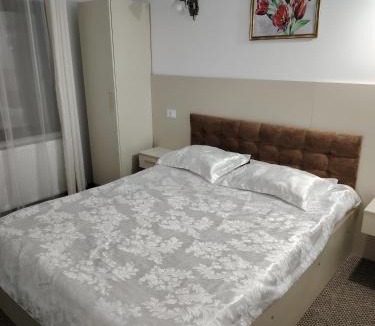 Avram Iancu Cabin | Ge-Lux