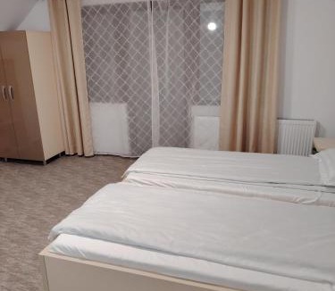 Avram Iancu Cabin | Ge-Lux