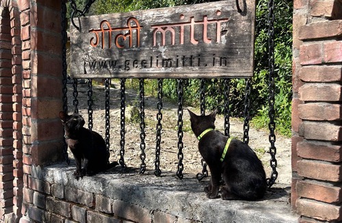 Naina Range Cottage | Geeli Mitti
