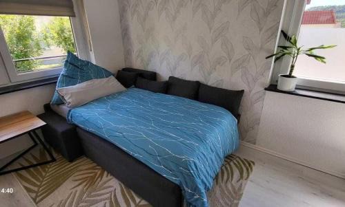 Lauda Apartment | Gemütliche Ferienwohnung Whole Apartment Merlion 65sqm, WLAN WiFi, 3 Zi Rooms, Taubertal KGH
