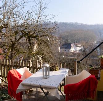 Schwaebisch Hall Apartment | Gemütliche Gartenwohnung mit Altstadtblick
