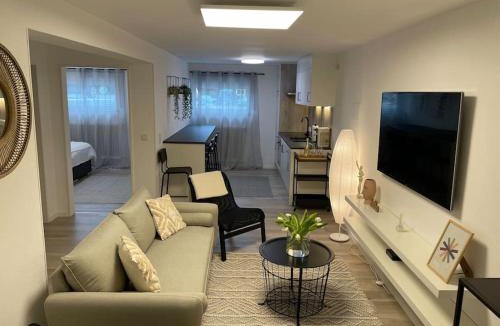 Bollendorf-Pont Apartment | Gemütliche&Moderne Ferienwohnung Nähe Trier & Luxemburg
