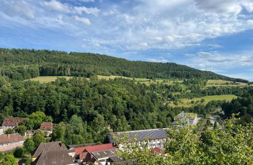 Wildberg Apartment | Gemütliche Wohnung im Schwarzwald in Wildberg