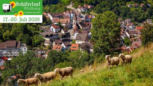 Wildberg Apartment | Gemütliche Wohnung im Schwarzwald in Wildberg