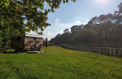 Nettersheim House | Gemütlicher Schäferwagen in der Eifel
