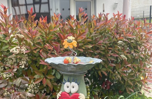 Bad Breisig Apartment | Gemütl. Central apartment in the heart of Bad Breisig, 65 m², 2-4 pers. incl. parking space.
