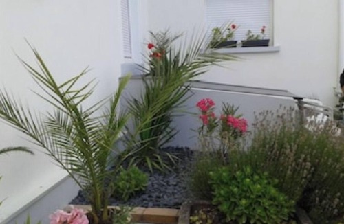 Saint Joseph/Mittelharth Apartment | Geranium Apartment 3*