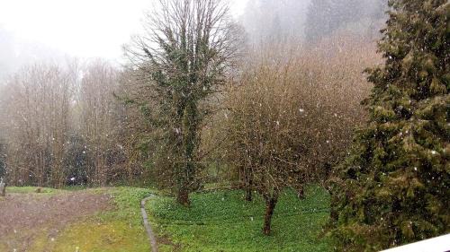 Lostorf Apartment | Geschäfts oder Ferienwohnung 53m2 gross in zwischen Olten und Aarau möbliert Internet Küche mit schöner Aussicht Parkplatz gratis Mit Hund moeglich