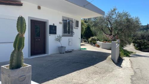 Kissamos Apartment | Gesthimani's Residence