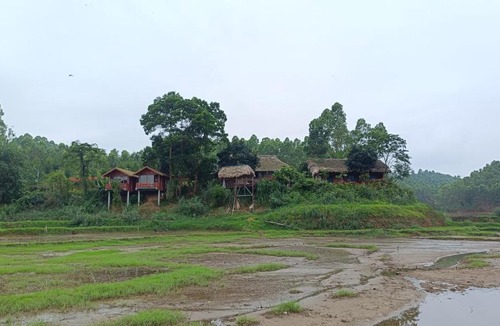 Ngoi Tu House | GiangTien Homestay ThacBa - Bungalow