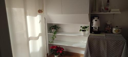 Lecce House | Giardino Massari