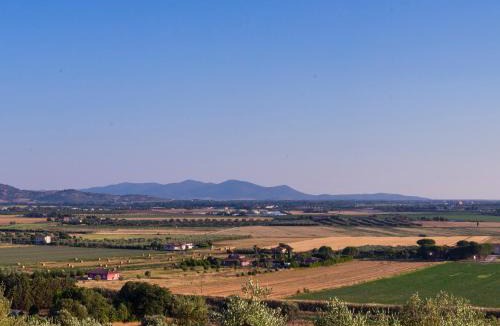 Grosseto House | Giardino sulla Maremma