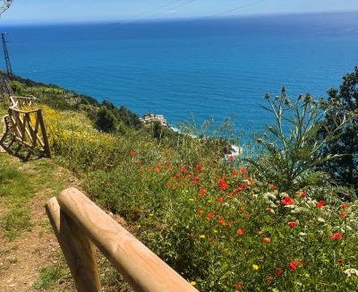Volastra House | Giglio