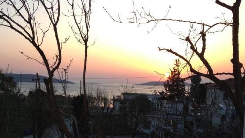 Marmari Apartment | Gikas Apartments Triple Studio Sea View B7