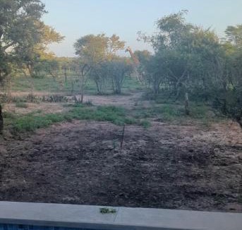 Marloth Park Villa | Giraffe Oasis - Kruger Luxury Family Villa