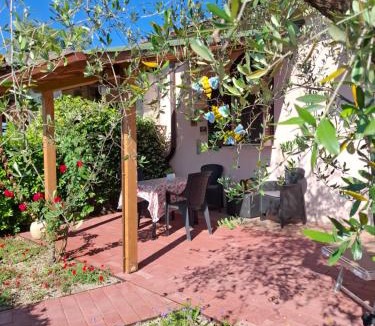 Alberese House | Girasole