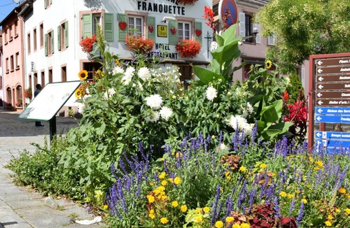 Ville House | Gîte * 4 to 6 people in the center of Villé Centre Alsace