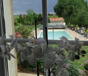 Saint-Nicolas-de-la-Grave Apartment | GITE Abeille-Soleil