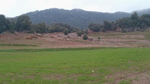 Bab Boudir House | Gite Ain Bechar