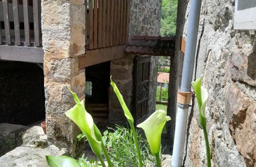 Saint-Julien-Vocance Apartment | GITE ASINA chez GITE QUE CANTA