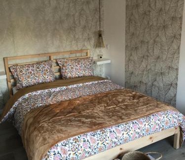 Barberey-aux-Moines Apartment | gite de saint lye