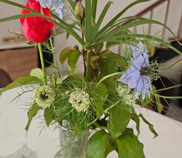 Prayssas House | Gite Du Chasselas