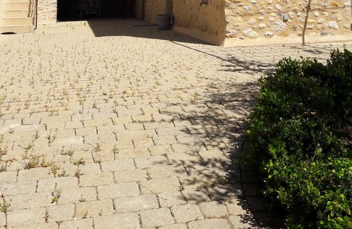 Bras-d'Asse Cottage | GITE ENTIRELY RESTORED AT THE OLD COURT IN SMALL PROVENCAL VILLAGE