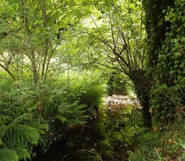 Le Bouillon House | Gite Salamandre