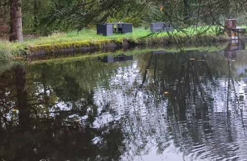 Miellin Apartment | Gite standing Vosges du Sud and plateau of a thousand ponds