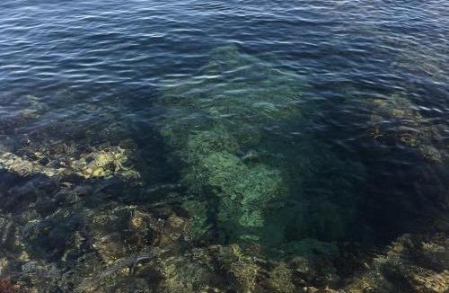 Capo Mannu House | Giuditta