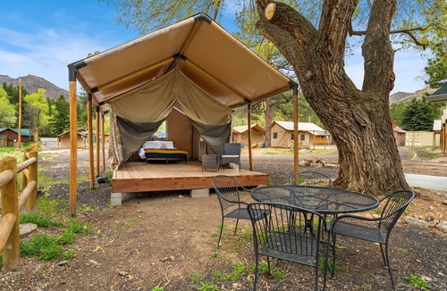 Poudre Park House | Glamp 2- Rocky Mountain Elk