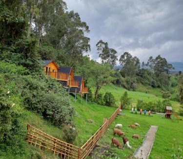 Pasochoa Other | Glamping El Reencuentro