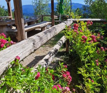 Ljubno House | Glamping Gril