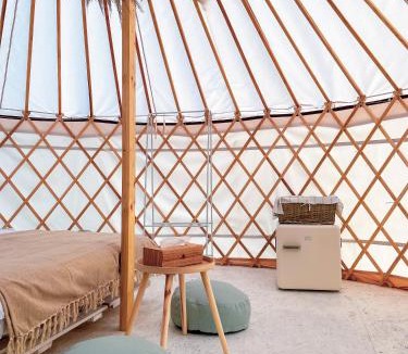 Vama Buzaului Other | Glamping Iurte Mongole Spiritul Zimbrului