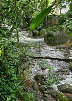 Cachoeiras de Macacu Other | Glamping Macacu